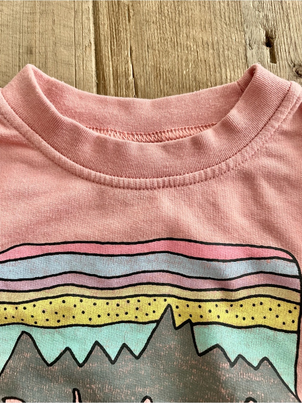 Patagonia: Baby Crewneck Sweatshirt - Picture 5 of 13